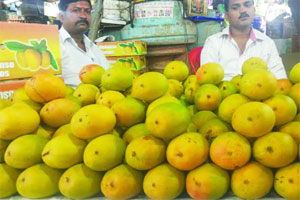 ‘कोकणचा राजा’ मुंबईत