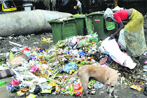 सिडको वसाहतीला कच-याचे ग्रहण सिडको वसाहतीला कच-याचे ग्रहण