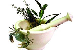 कॅन्सर आणि आयुर्वेद कॅन्सर आणि आयुर्वेद