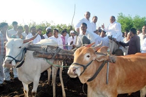 पीकविम्याचे निकष बदलून गारपीटग्रस्तांना मदत करू – शरद पवार