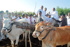 पीकविम्याचे निकष बदलून गारपीटग्रस्तांना मदत करू – शरद पवार
