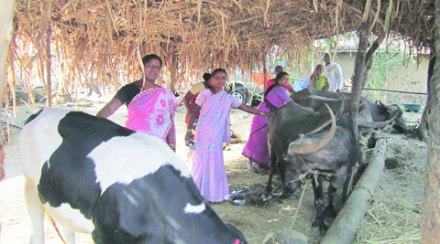 पंखांना एकीचे बळ