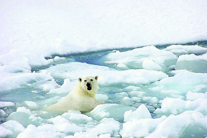 बदलतंय हवामानाचं तंत्र! बदलतंय हवामानाचं तंत्र!