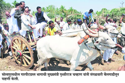 निम्म्या राज्याला गारपिटीचा फटका निम्म्या राज्याला गारपिटीचा फटका