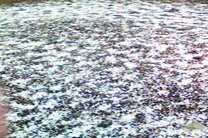 व्यापारही बुडाला! व्यापारही बुडाला!