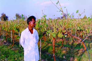 साऱ्या स्वप्नांचा चक्काचूर..! साऱ्या स्वप्नांचा चक्काचूर..!