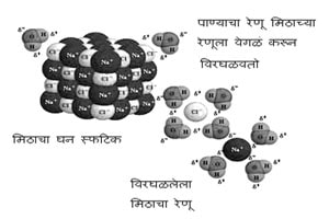 कुतूहल – पाणी ‘वैश्विक द्रावक’ का आहे?