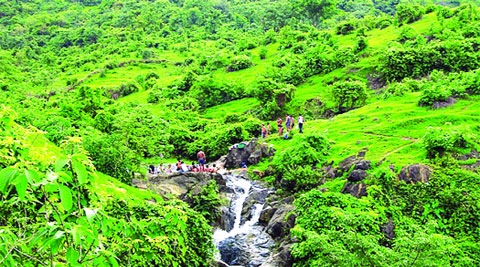 ठाण्यात हरित पट्टयाला सोन्याचे भाव