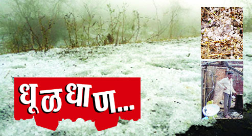 धूळधाण..