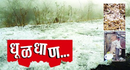 धूळधाण..