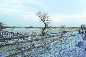 जुळवून घ्यावेच लागेल..