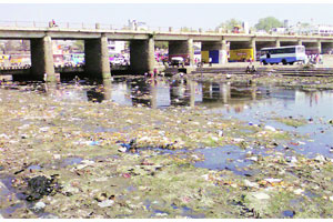 चार आठवडय़ात कृती आराखडा सादर करण्याचे निर्देश