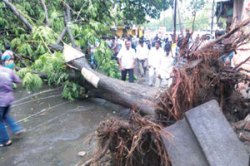 सोलापुरात दुस-या दिवशीही अवकाळी पावसाने झोडपले