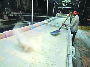 साखरेच्या निर्यातीसाठी कायम अनुदान द्या