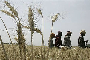 गारपीटग्रस्त शेतक-यांवरील अन्यायाविरुद्ध धरणे आंदोलन गारपीटग्रस्त शेतक-यांवरील अन्यायाविरुद्ध धरणे आंदोलन