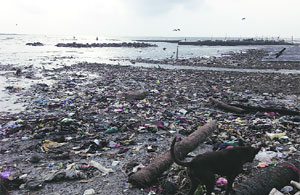 समुद्रकिनारा की गटारकिनारा? समुद्रकिनारा की गटारकिनारा?