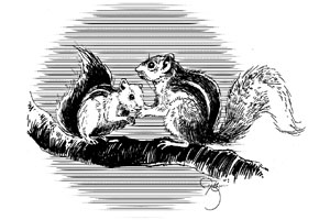 ती आई होती म्हणूनी..