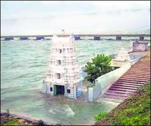 पावसाच्या विलंबामुळे कृष्णा, कोयनाकाठ हवालदिल