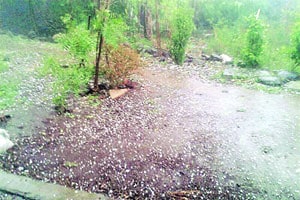 उस्मानाबादेत पुन्हा गारपीट
