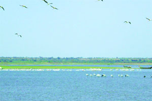 प्रवरा कालव्यात दोन मुलांचे मृतदेह प्रवरा कालव्यात दोन मुलांचे मृतदेह