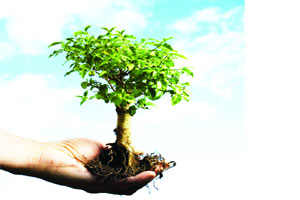 वृक्षगणनेत अडथळा वृक्षगणनेत अडथळा