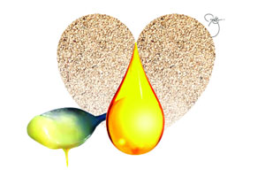 आहारातील स्नेह! आहारातील स्नेह!