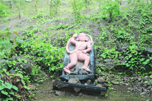 ‘मान्सून स्पेशल’ सुरगड ‘मान्सून स्पेशल’ सुरगड