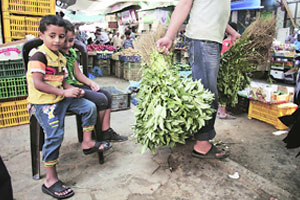 गाझात तात्पुरती शस्त्रसंधी गाझात तात्पुरती शस्त्रसंधी