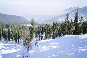 ट्रॅव्हलॉग : बर्फानुभव