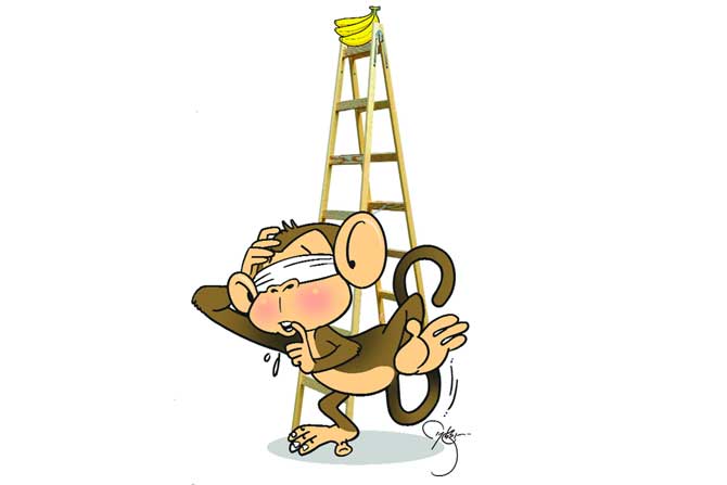 शिडी आणि केळी शिडी आणि केळी