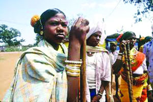 आदिवासी विकास खाते बनले भ्रष्टाचाराचे कुरण आदिवासी विकास खाते बनले भ्रष्टाचाराचे कुरण