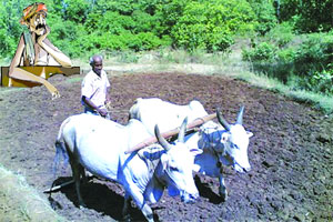 सरकारी मदतीअभावी विदर्भातील शेतकरी संकटात