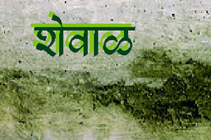 शेवाळ शेवाळ