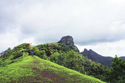 डोंगरातला पाऊस डोंगरातला पाऊस