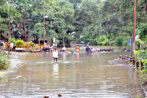 संततधार पावसामुळे नद्यांच्या पातळीत वाढ