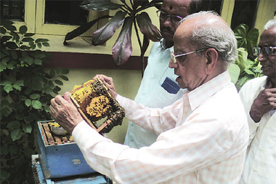 वळसा वयाला : ‘मधु’र योगदानाची पंचविशी वळसा वयाला : ‘मधु’र योगदानाची पंचविशी