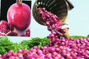 कृषीप्रक्रिया उद्योगांची वानवा शेतकऱ्यांसाठी त्रासदायक कृषीप्रक्रिया उद्योगांची वानवा शेतकऱ्यांसाठी त्रासदायक