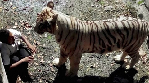 फुशारकीला फटका!