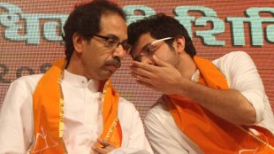 Bihar Election,बिहार,भाजप,शिवसेना