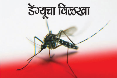 डेंग्यूचा विळखा