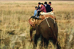 ट्रेक डायरी: बांधवगड दर्शन