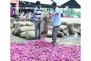 शेती व्यवसाय उद्ध्वस्त होण्याच्या मार्गावर..
