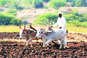 शेतकऱ्यांना सरकार नाही, तर युनो सक्षम करणार का?