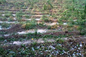 धाडसी अग्रलेखाबदद्ल ‘लोकसत्ता’चे अभिनंदन आणि टीकाही