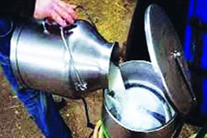 पातळ दुधाचा दर्जा टिकवण्यासाठी साखरेची भेसळ