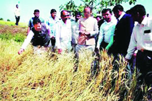 ‘बरी या दुष्काळे पीडा केली’ ‘बरी या दुष्काळे पीडा केली’