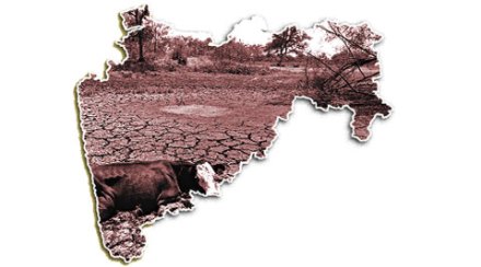 विदर्भासाठी पुढील आठवडय़ात पॅकेज विदर्भासाठी पुढील आठवडय़ात पॅकेज