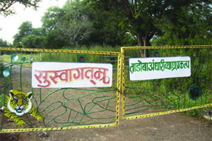 मेट्रो आराखडय़ातून हरवला वन्य प्राण्यांचा ‘कॉरिडॉर’