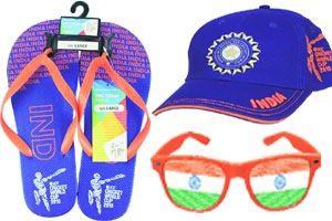 क्रिकेट फीवर