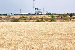 सोळा वर्षांत एकही उद्योग सुरू नाही! सोळा वर्षांत एकही उद्योग सुरू नाही!